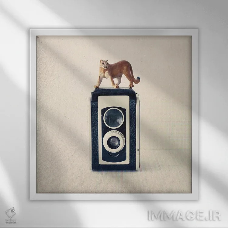 تابلو دوربین رفلکس اثر کارولین مینت - نمای قابدار سفید