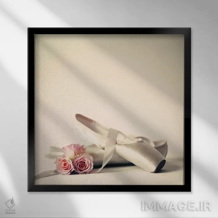 تابلو کفشهای باله اثر کارولین مینت - نمای قابدار مشکی