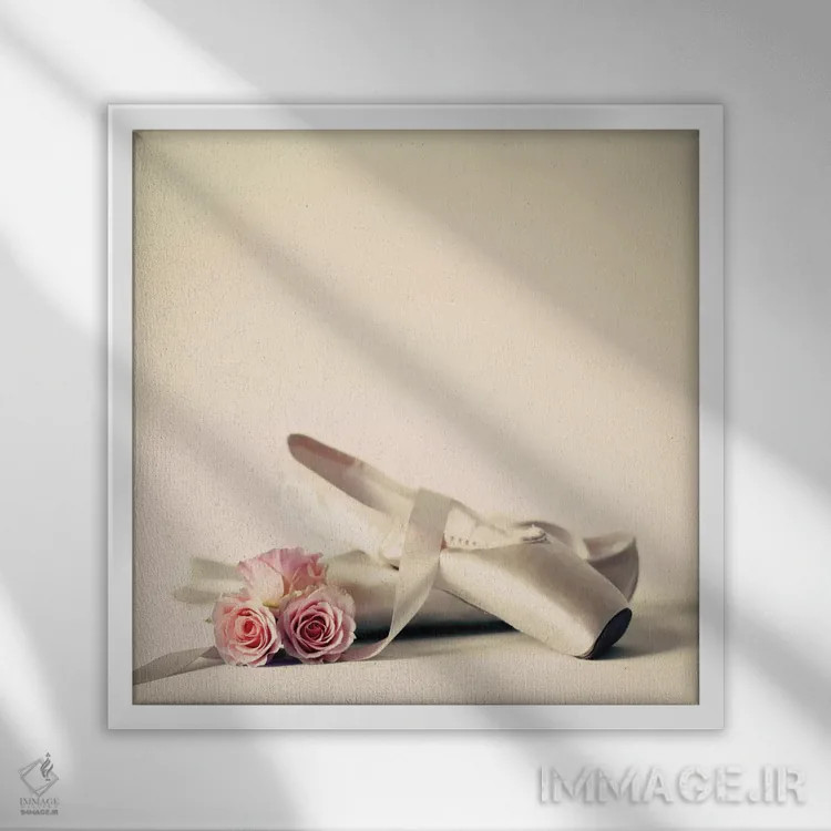 تابلو کفشهای باله اثر کارولین مینت - نمای قابدار سفید
