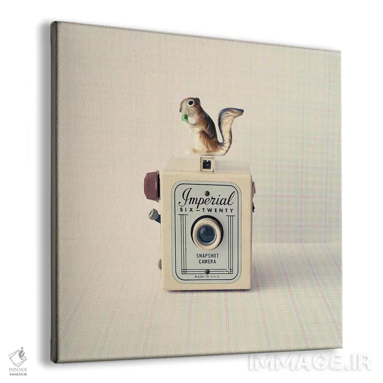 تابلو سنجاب و امپریال (ابهام) اثر کارولین مینت - نمای پرسپکتیو محصول