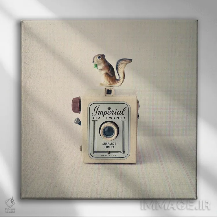 تابلو سنجاب و امپریال (ابهام) اثر کارولین مینت - نمای روبهرو روی دیوار