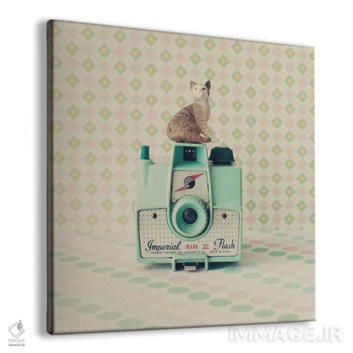 تابلو گربه و دوربین اثر کارولین مینت - نمای پرسپکتیو محصول