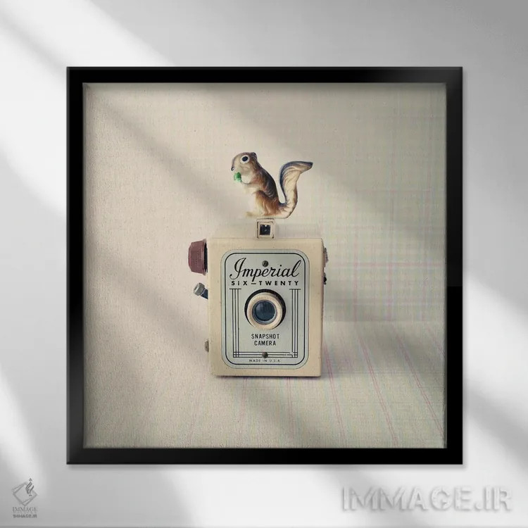 تابلو سنجاب و امپریال (ابهام) اثر کارولین مینت - نمای قابدار مشکی