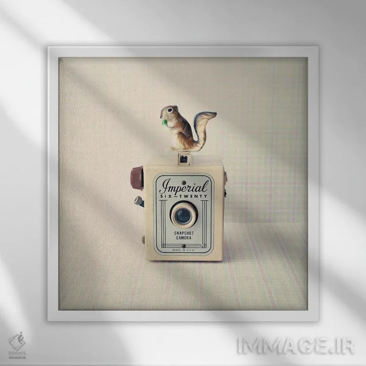 تابلو سنجاب و امپریال (ابهام) اثر کارولین مینت - نمای قابدار سفید