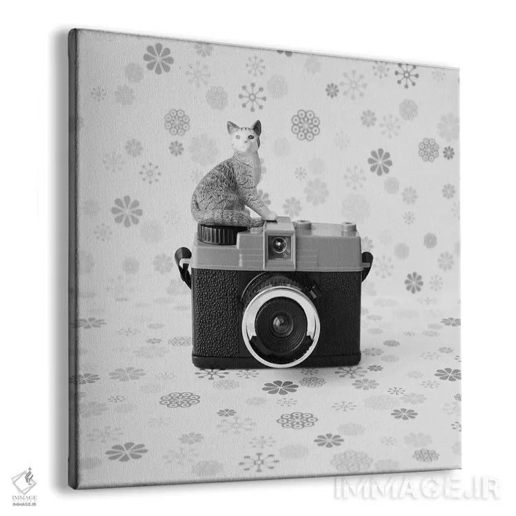 تابلو گربه و دوربین کوچک اثر کارولین مینت - نمای پرسپکتیو محصول