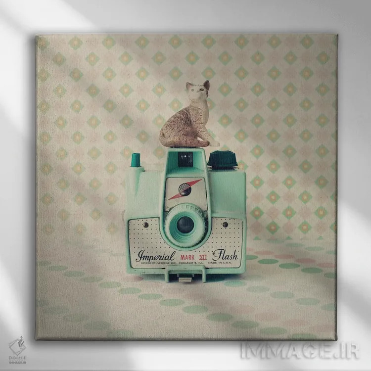 تابلو گربه و دوربین اثر کارولین مینت - نمای روبهرو روی دیوار