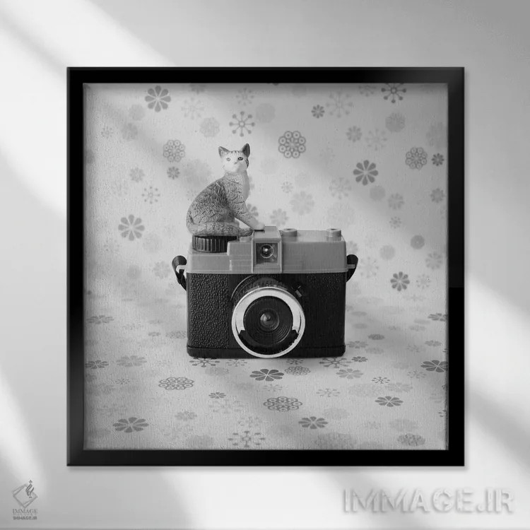 تابلو گربه و دوربین کوچک اثر کارولین مینت - نمای قابدار مشکی