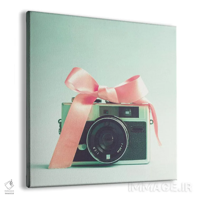 تابلو دوربین کوچک دختر اثر کارولین مینت - نمای پرسپکتیو محصول