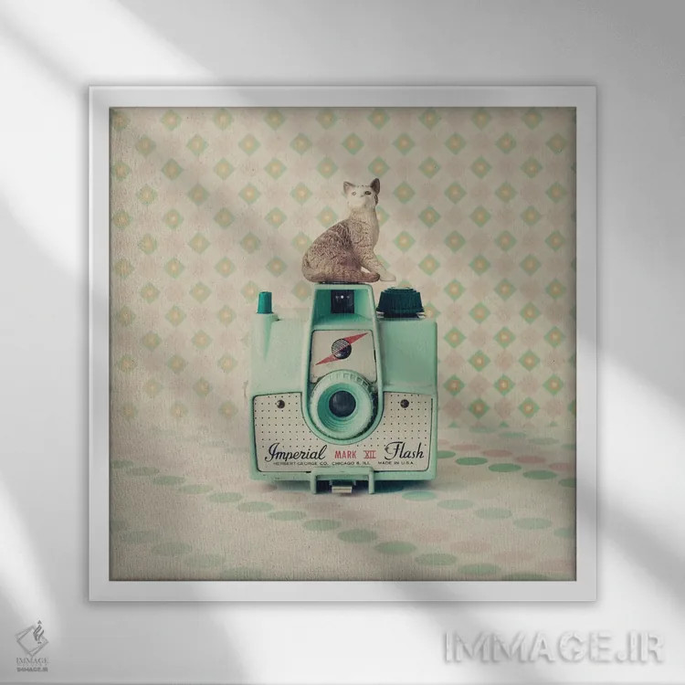 تابلو گربه و دوربین اثر کارولین مینت - نمای قابدار سفید