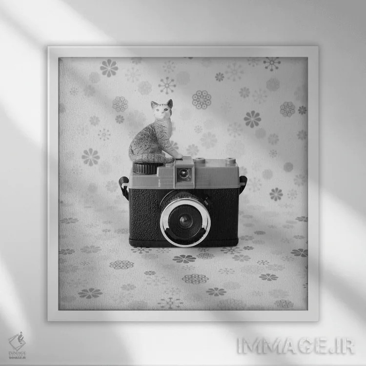 تابلو گربه و دوربین کوچک اثر کارولین مینت - نمای قابدار سفید