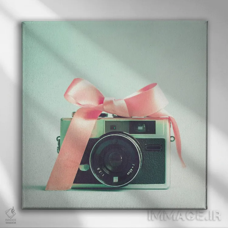 تابلو دوربین کوچک دختر اثر کارولین مینت - نمای روبهرو روی دیوار