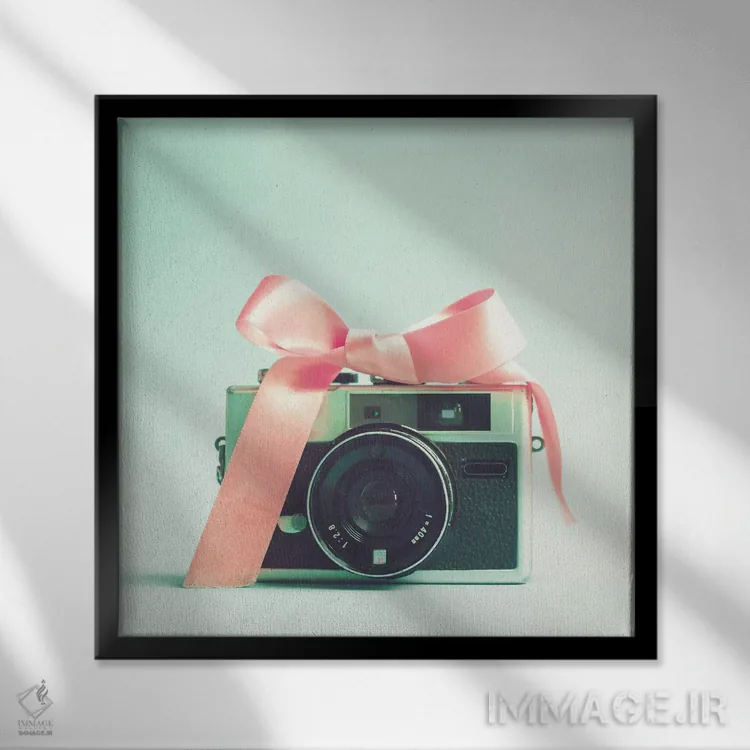 تابلو دوربین کوچک دختر اثر کارولین مینت - نمای قابدار مشکی