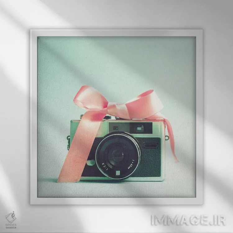 تابلو دوربین کوچک دختر اثر کارولین مینت - نمای قابدار سفید