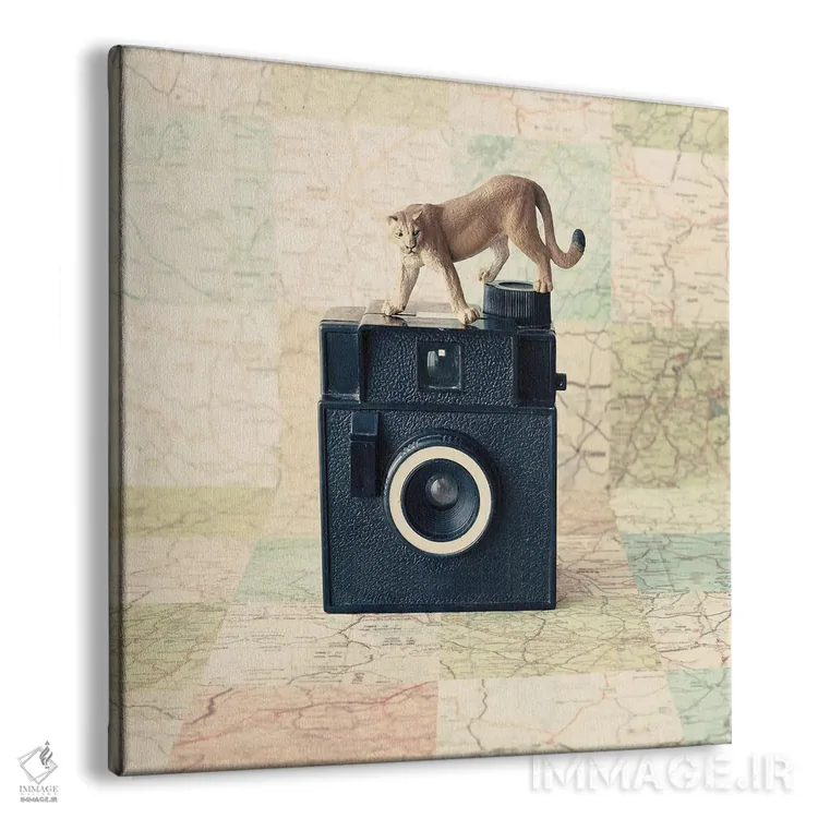 تابلو سفر به دور دنیا اثر کارولین مینت - نمای پرسپکتیو محصول