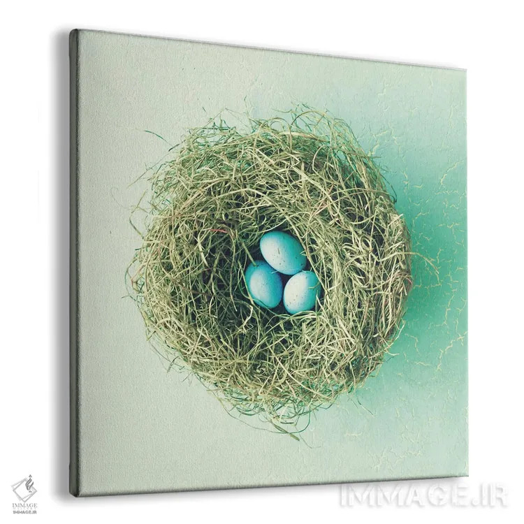 تابلو سه تخممرغ کوچک اثر کارولین مینت - نمای پرسپکتیو محصول