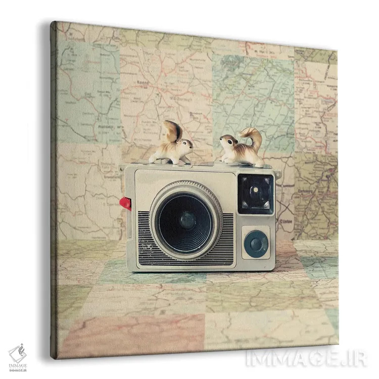 تابلو سفر مشترک به دور دنیا اثر کارولین مینت - نمای پرسپکتیو محصول