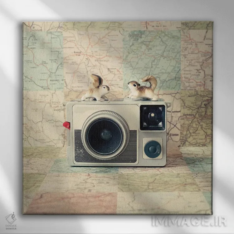 تابلو سفر مشترک به دور دنیا اثر کارولین مینت - نمای روبهرو روی دیوار