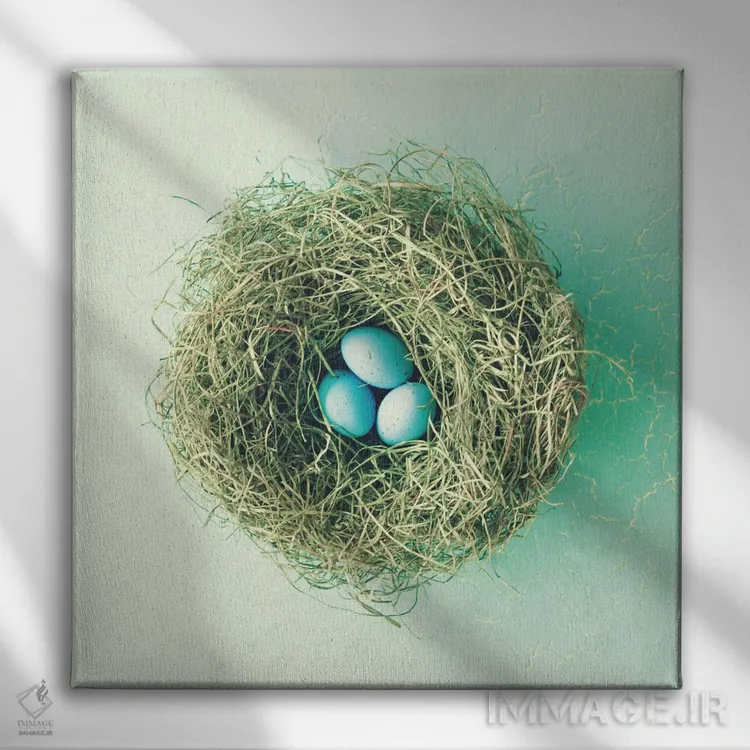 تابلو سه تخممرغ کوچک اثر کارولین مینت - نمای روبهرو روی دیوار