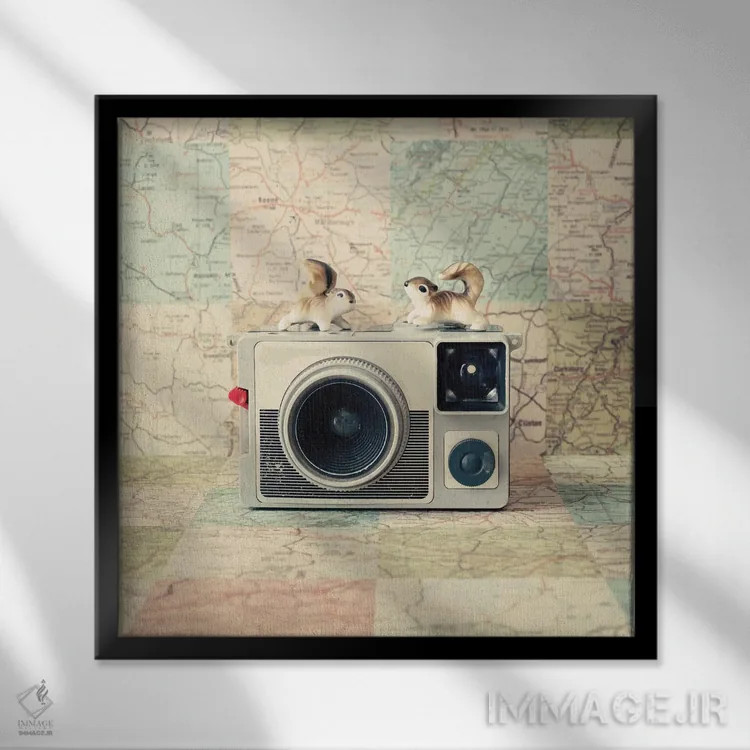 تابلو سفر مشترک به دور دنیا اثر کارولین مینت - نمای قابدار مشکی