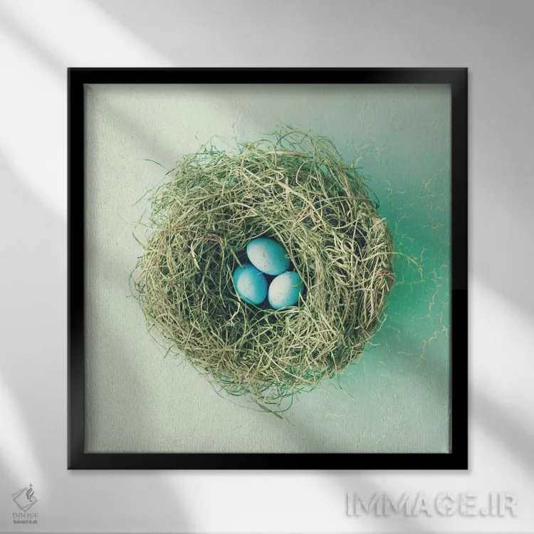 تابلو سه تخممرغ کوچک اثر کارولین مینت - نمای قابدار مشکی