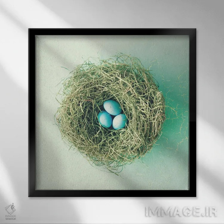 تابلو سه تخممرغ کوچک اثر کارولین مینت - نمای قابدار مشکی