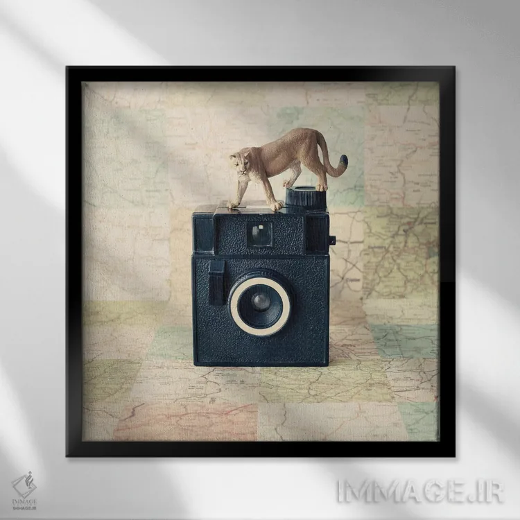 تابلو سفر به دور دنیا اثر کارولین مینت - نمای قابدار مشکی