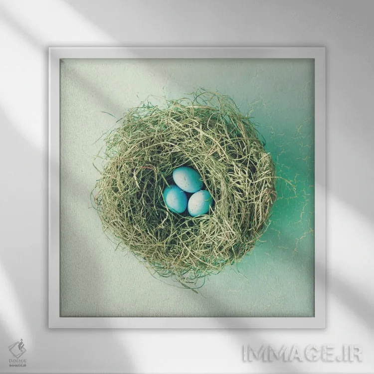 تابلو سه تخممرغ کوچک اثر کارولین مینت - نمای قابدار سفید