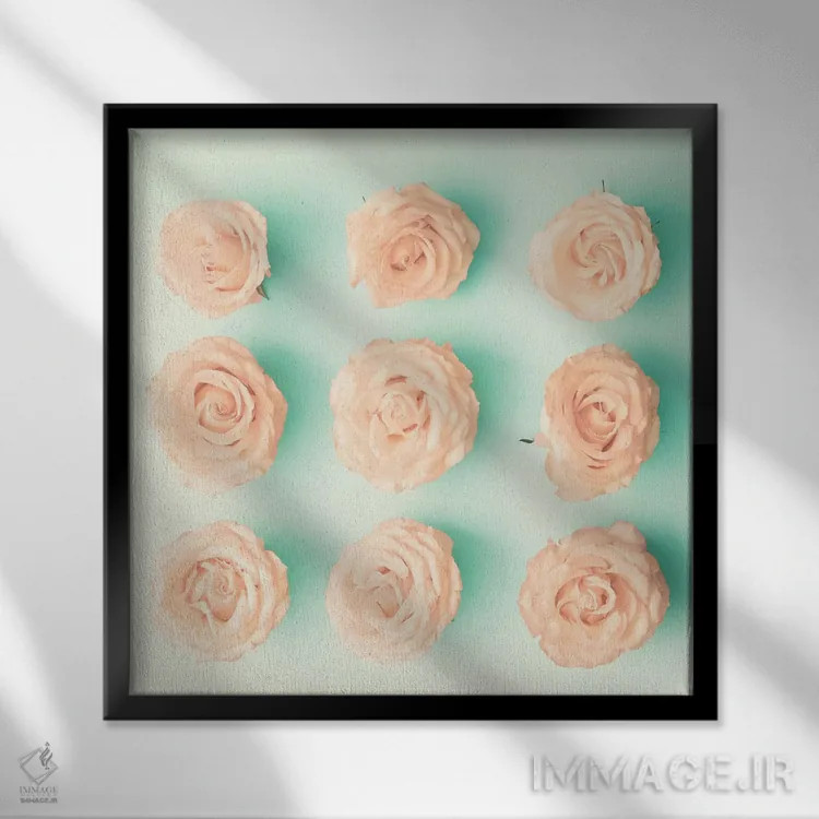 تابلو نه گل رز اثر کارولین مینت - نمای قابدار مشکی