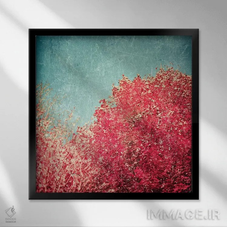 تابلو پاییز ورمونت (آمریکا) اثر کارولین مینت - نمای قابدار مشکی