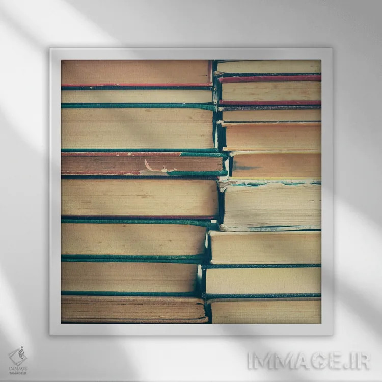 تابلو کتابها اثر کارولین مینت - نمای قابدار سفید