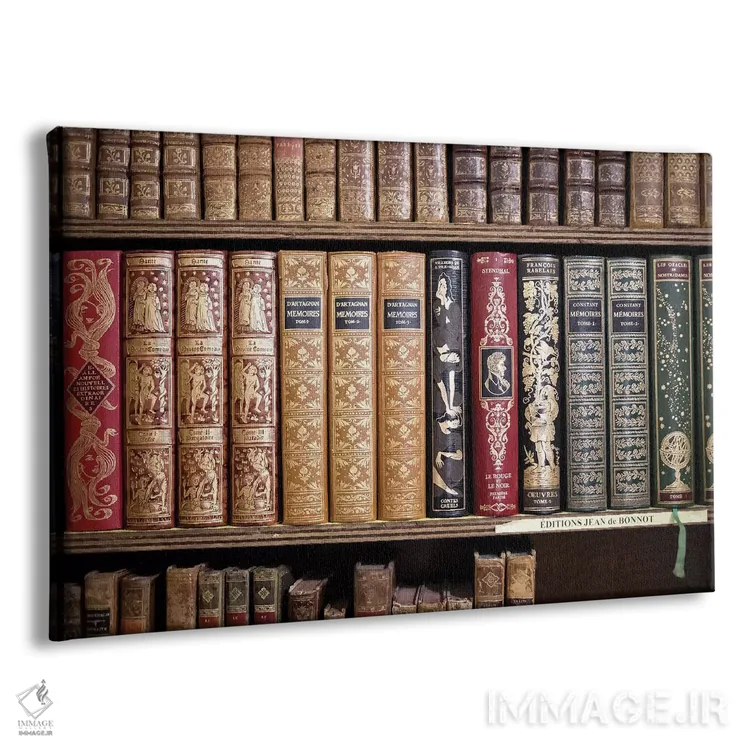 تابلو کتابهای کلاسیک فرانسوی اثر کارولین مینت - نمای پرسپکتیو محصول
