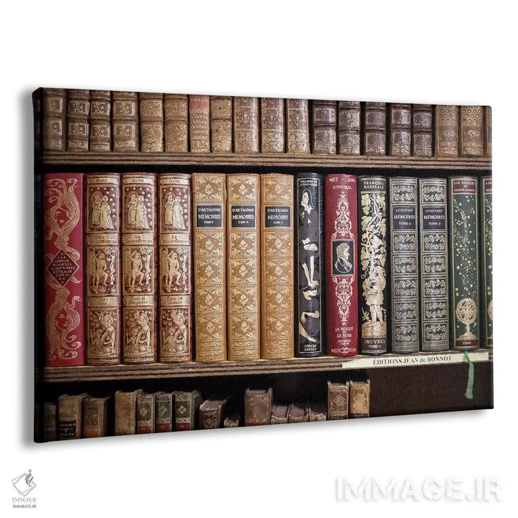 تابلو کتابهای کلاسیک فرانسوی اثر کارولین مینت - نمای پرسپکتیو محصول