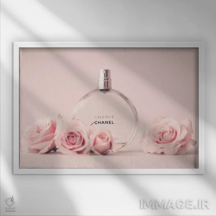 تابلو شنل (برند) اثر کارولین مینت - نمای قابدار سفید