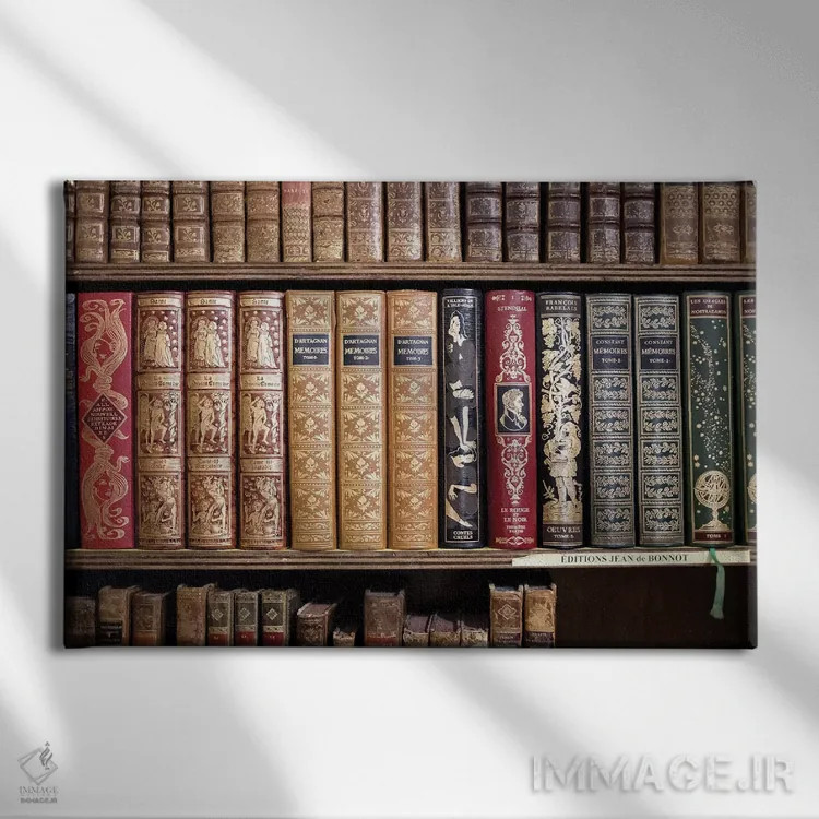 تابلو کتابهای کلاسیک فرانسوی اثر کارولین مینت - نمای روبهرو روی دیوار