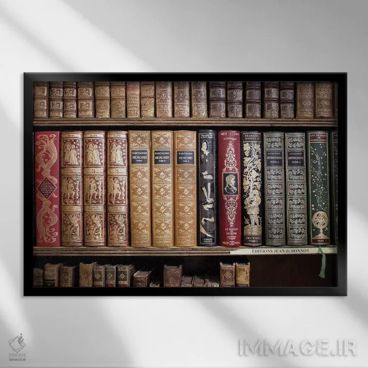 تابلو کتابهای کلاسیک فرانسوی اثر کارولین مینت - نمای قابدار مشکی
