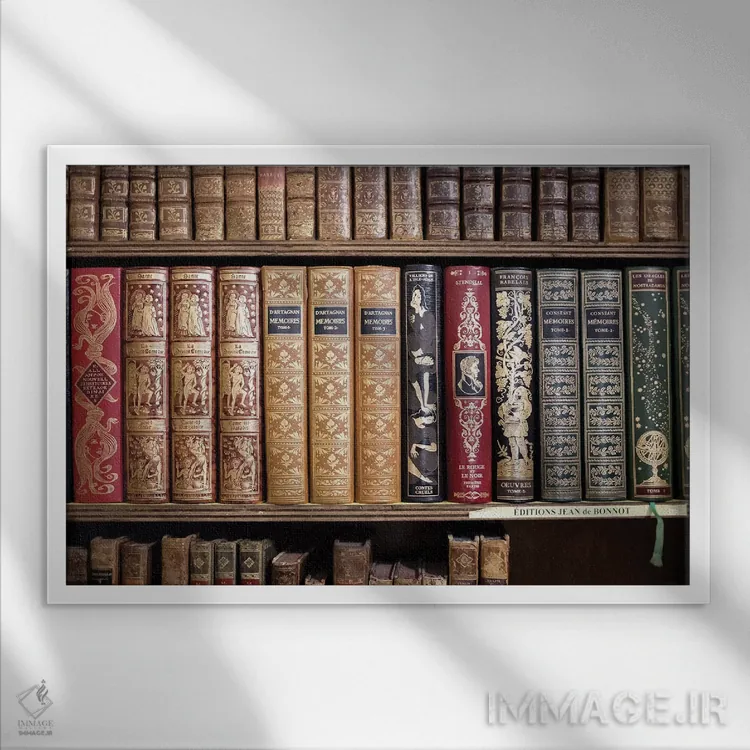 تابلو کتابهای کلاسیک فرانسوی اثر کارولین مینت - نمای قابدار سفید
