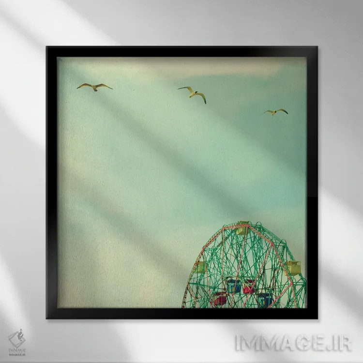 تابلو پرواز کن بالا اثر کارولین مینت - نمای قابدار مشکی