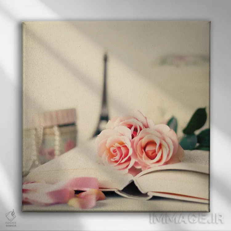 تابلو دکورهای فرانسوی اثر کارولین مینت - نمای روبهرو روی دیوار