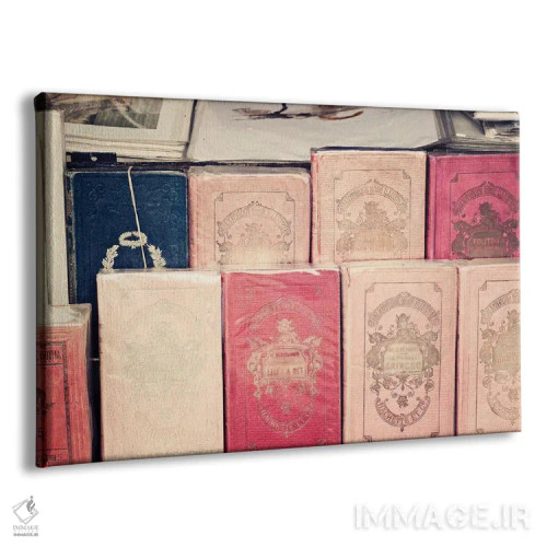 تابلو کتابهای صورتی فرانسوی اثر کارولین مینت - نمای پرسپکتیو محصول