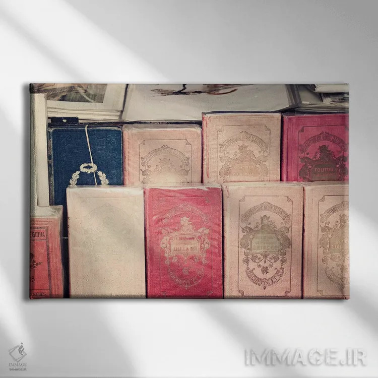 تابلو کتابهای صورتی فرانسوی اثر کارولین مینت - نمای روبهرو روی دیوار