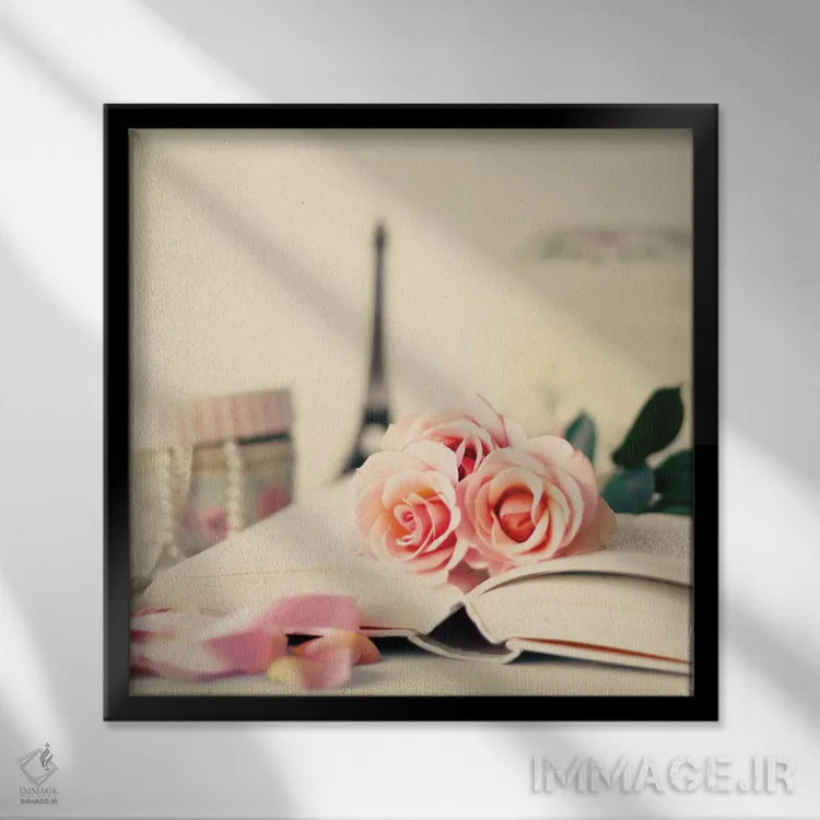 تابلو دکورهای فرانسوی اثر کارولین مینت - نمای قابدار مشکی