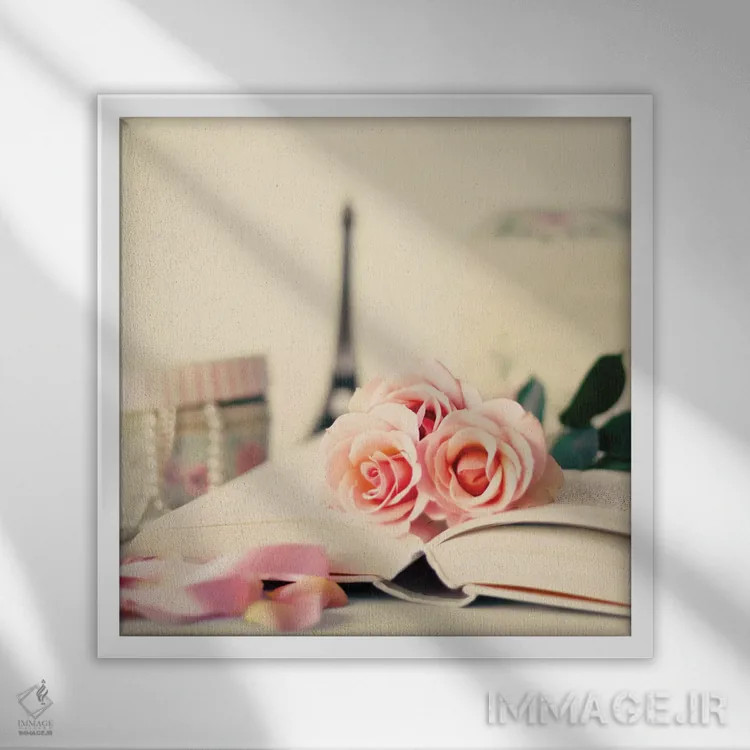 تابلو دکورهای فرانسوی اثر کارولین مینت - نمای قابدار سفید