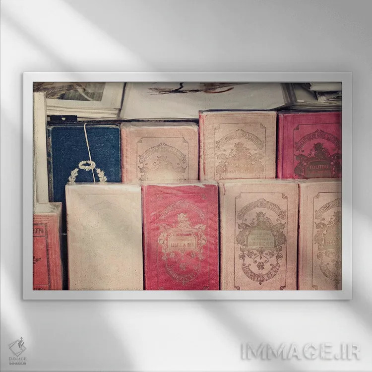 تابلو کتابهای صورتی فرانسوی اثر کارولین مینت - نمای قابدار سفید