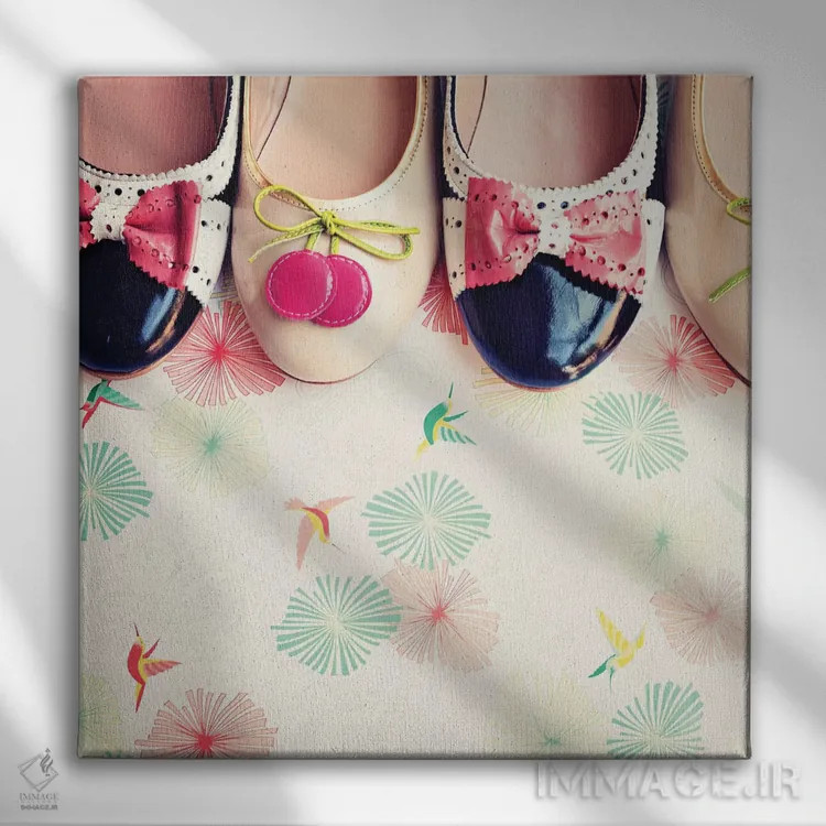 تابلو کفشهای شاد اثر کارولین مینت - نمای روبهرو روی دیوار