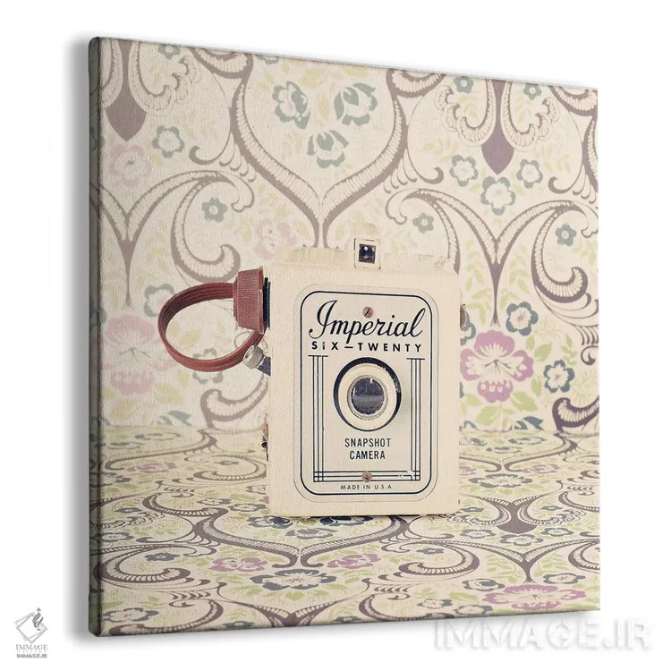 تابلو دوربین سلطنتی اثر کارولین مینت - نمای پرسپکتیو محصول