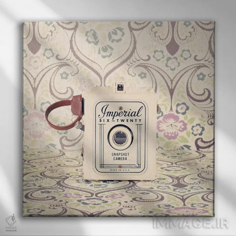 تابلو دوربین سلطنتی اثر کارولین مینت - نمای روبهرو روی دیوار