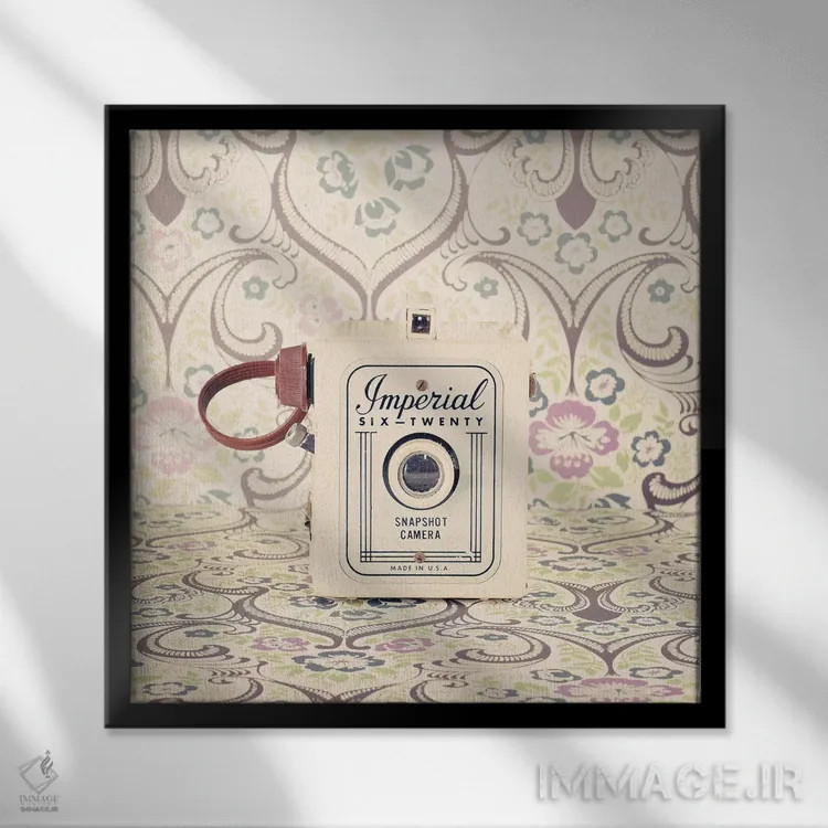 تابلو دوربین سلطنتی اثر کارولین مینت - نمای قابدار مشکی