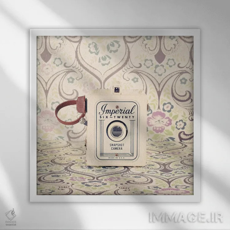 تابلو دوربین سلطنتی اثر کارولین مینت - نمای قابدار سفید