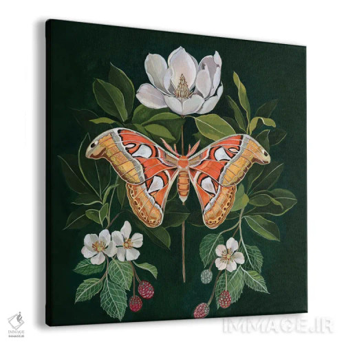 تابلو شبپره اطلس اثر کلارا مکآلیستر - نمای پرسپکتیو محصول