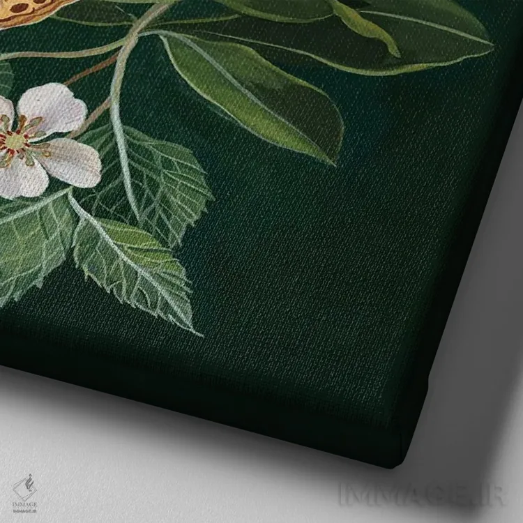 تابلو شبپره اطلس اثر کلارا مکآلیستر - نمای نزدیک بافت بوم